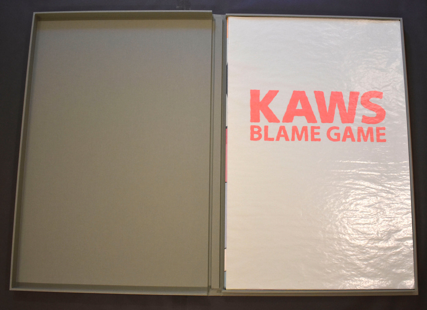 KAWS Blame Game Portfolio 2014