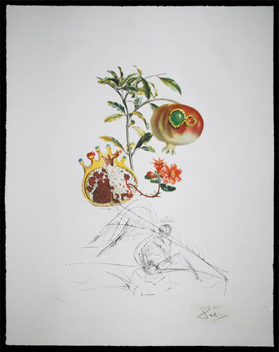Salvador Dali Grenade et l'Ange (Pomegranate) (Field 69-11L) 1969