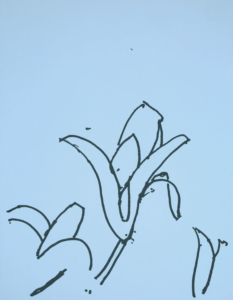 alex katz white lilies Alex Katz Lilies 5 2024 – Georgetown Frame Shoppe