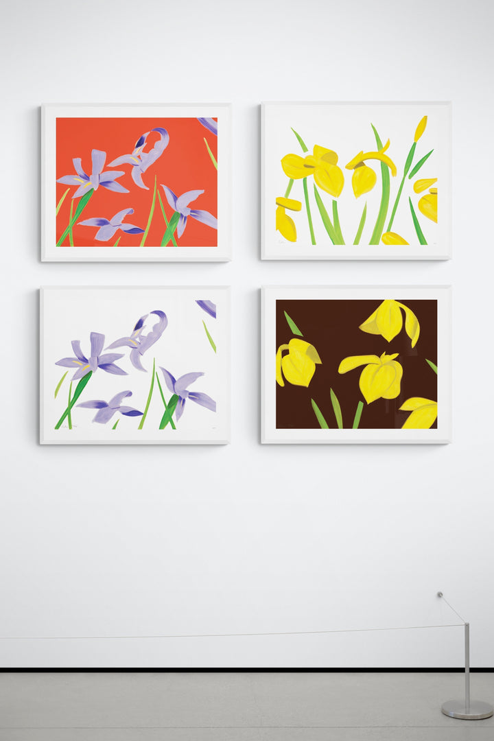 Alex Katz Purple Irises on Red 2023 – Georgetown Frame Shoppe