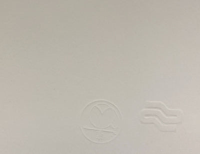 Andy Warhol Apple (Feldman II.359) 1985