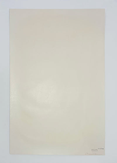 Andy Warhol Campbell's Soup II: Golden Mushroom (Feldman II.62) 1969