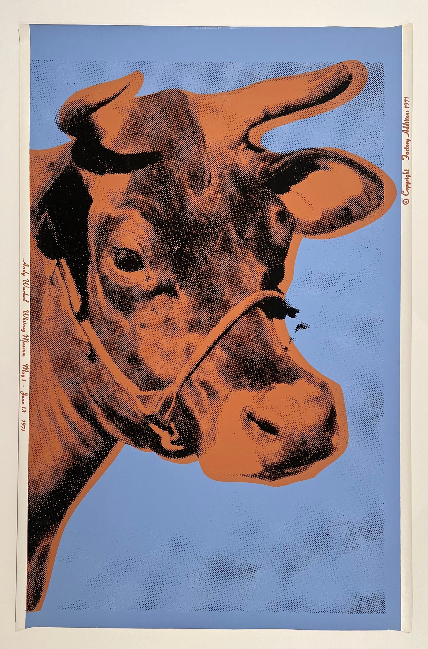 Andy Warhol Cow (Feldman II.11A) 1971