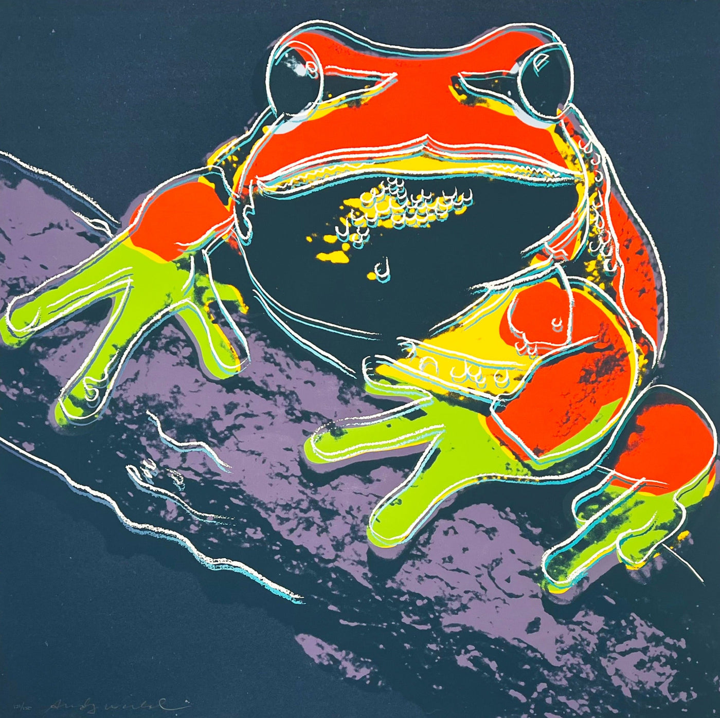 Andy Warhol Pine Barrens Tree Frog (Feldman II.294) 1983