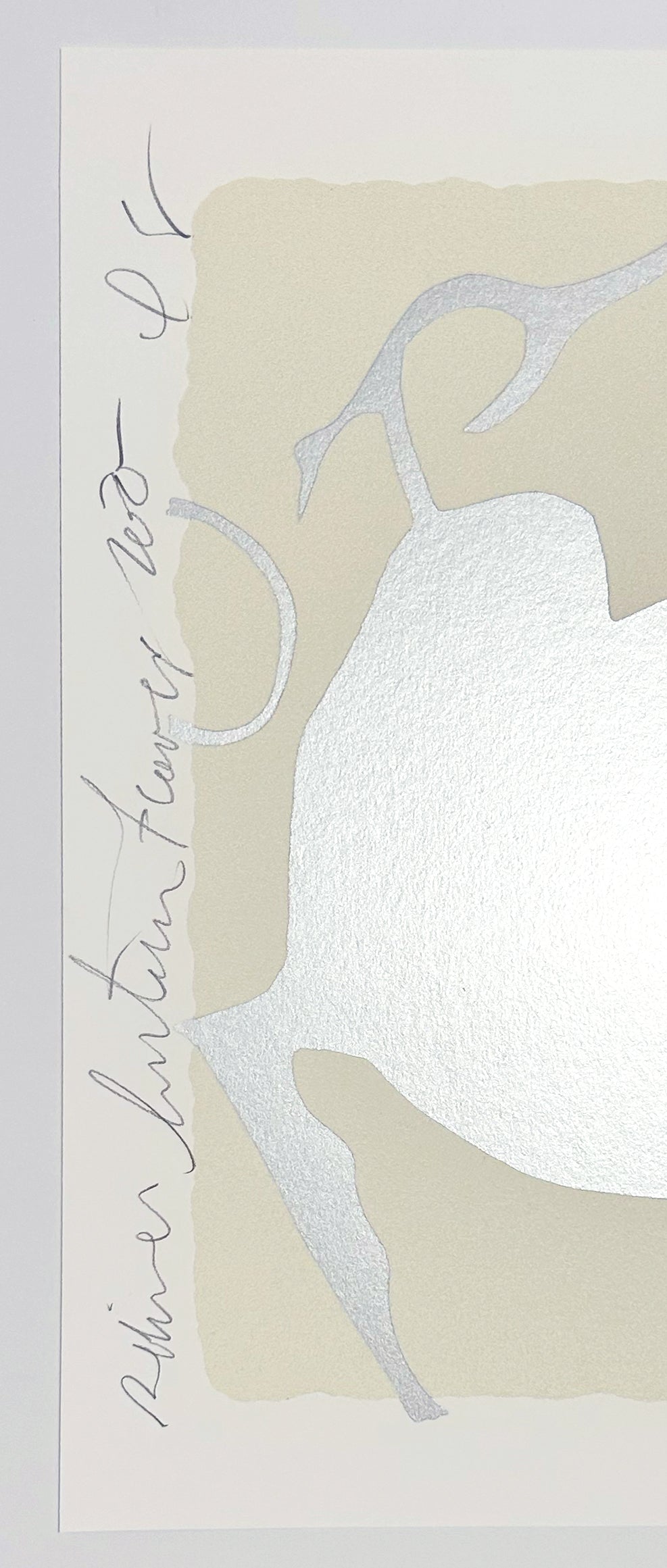 Donald Sultan Silver Lantern Flowers, 2025 2025