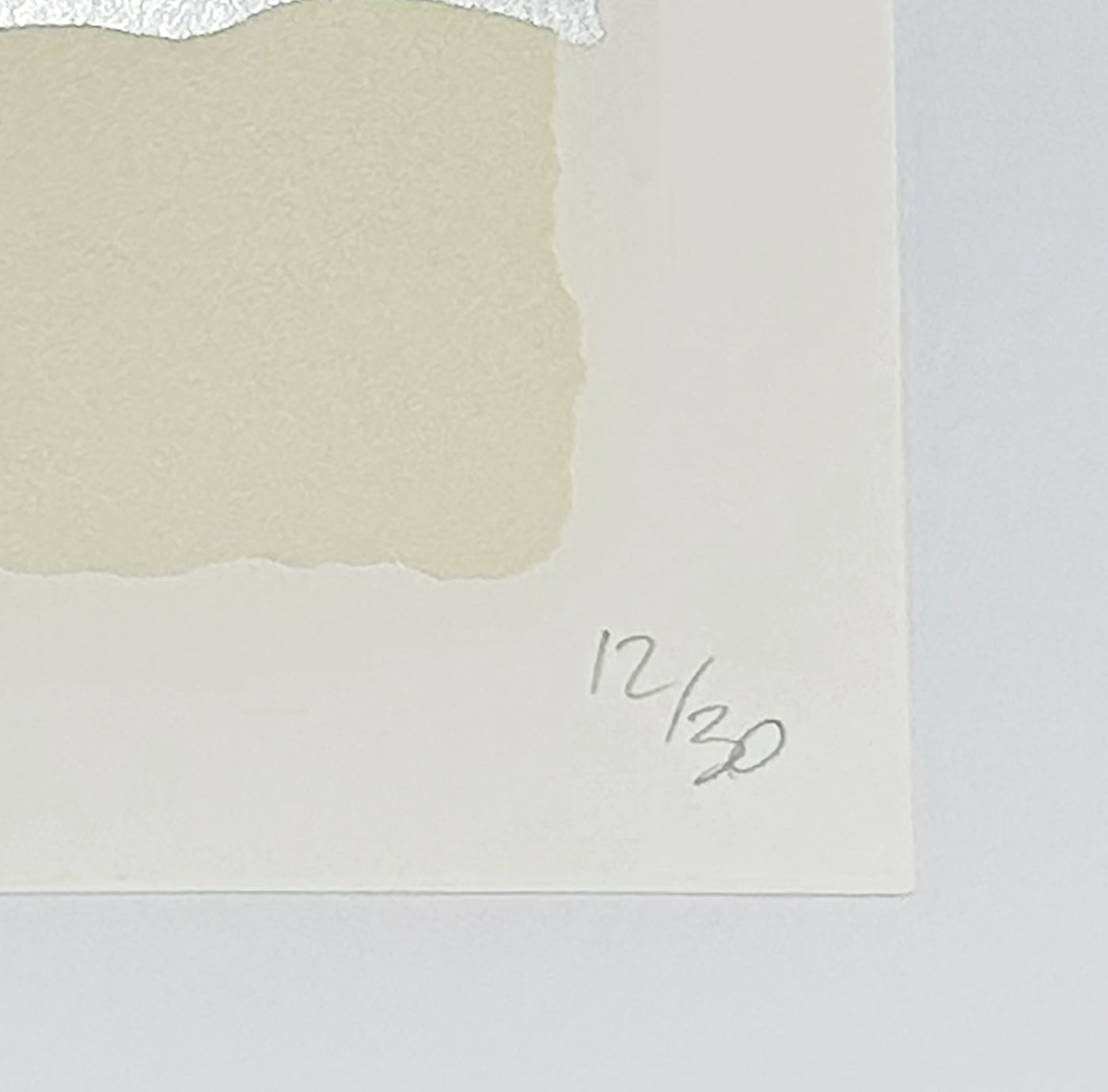 Donald Sultan Silver Lantern Flowers, 2025 2025