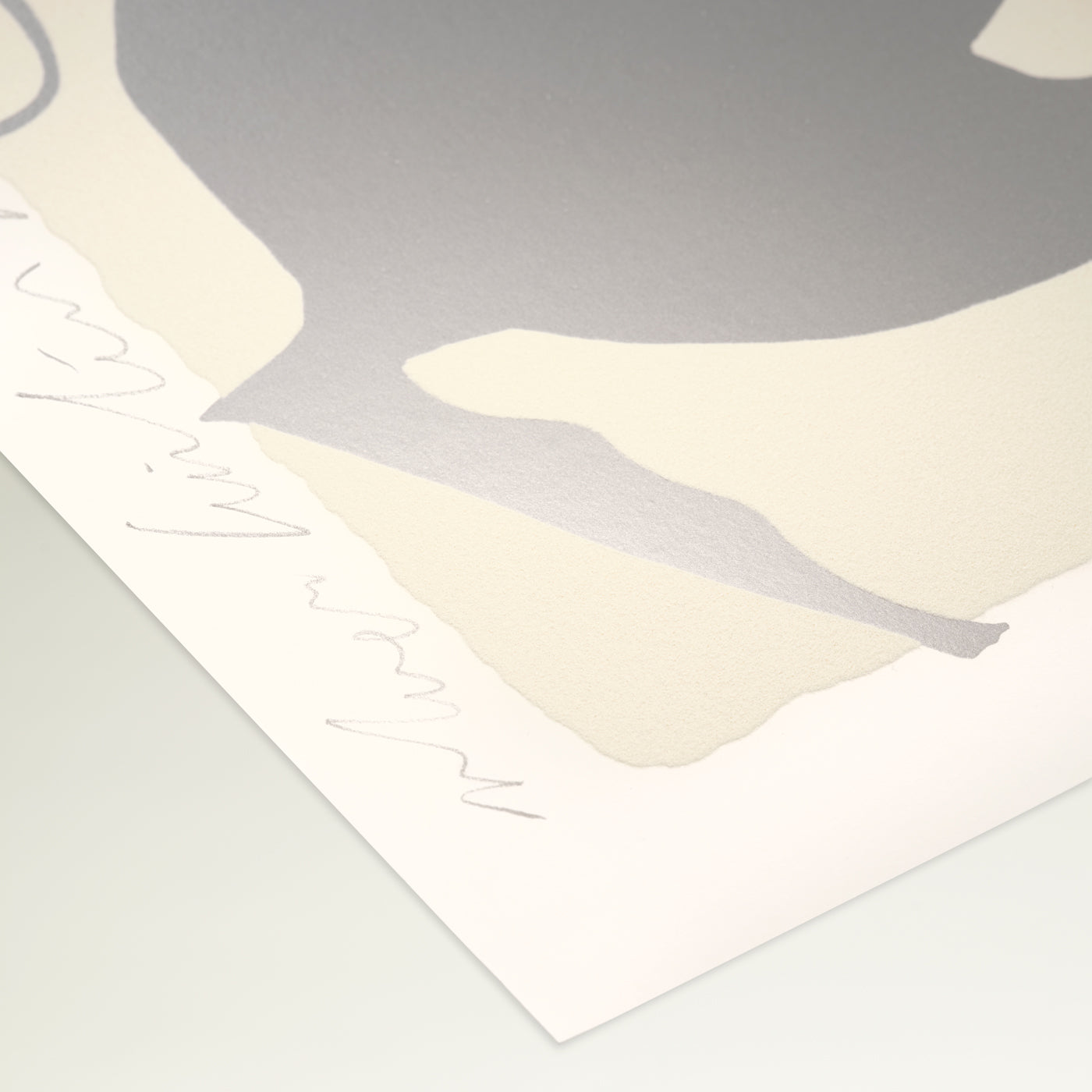 Donald Sultan Silver Lantern Flowers, 2025 2025