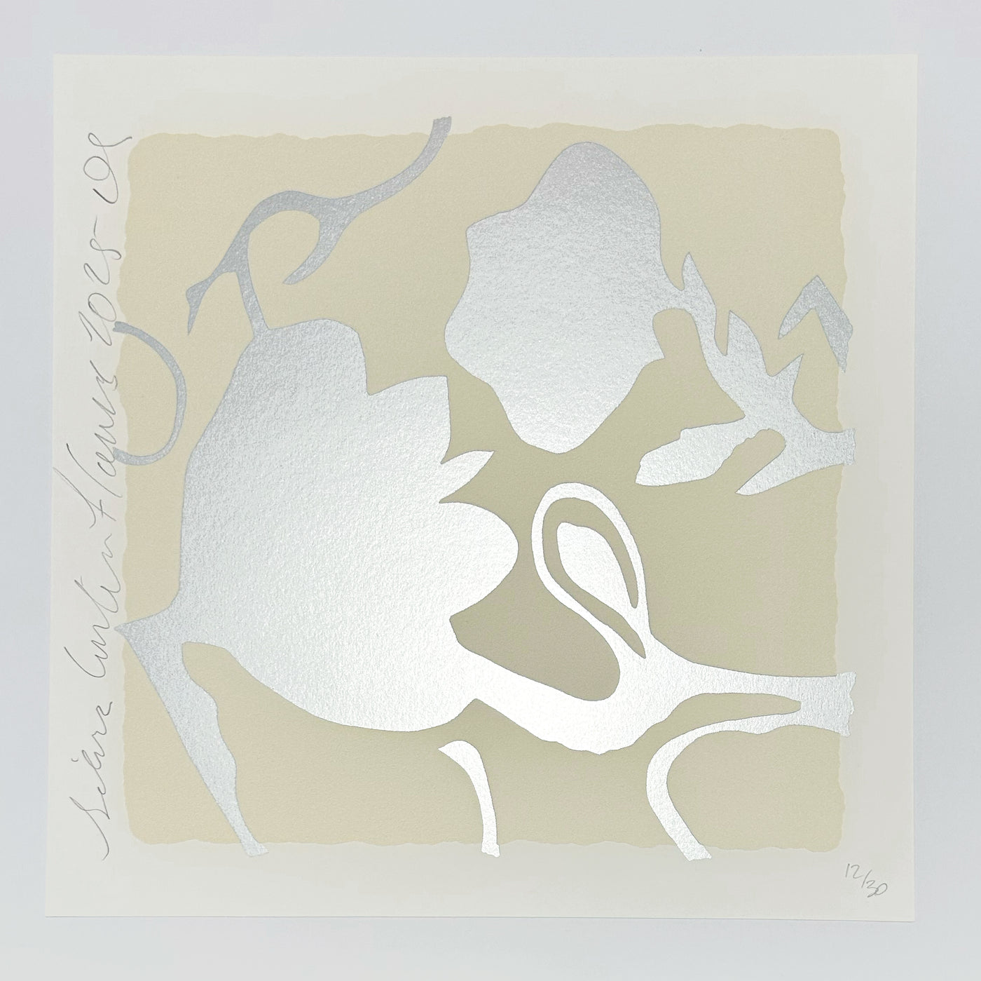 Donald Sultan Silver Lantern Flowers, 2025 2025