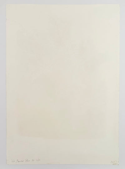 Marc Chagall Les Mimosas (Mourlot 544) 1968