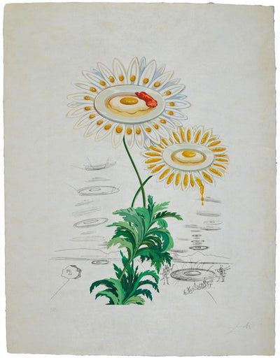 Salvador Dali Chrysanthemum frutescens from Flora Dalinae (Field 68-3 J) 1968