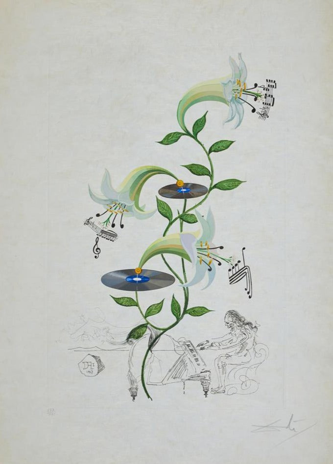 Salvador Dali Lilium musicum from Flora Dalinae (Field 68-3 D) 1968