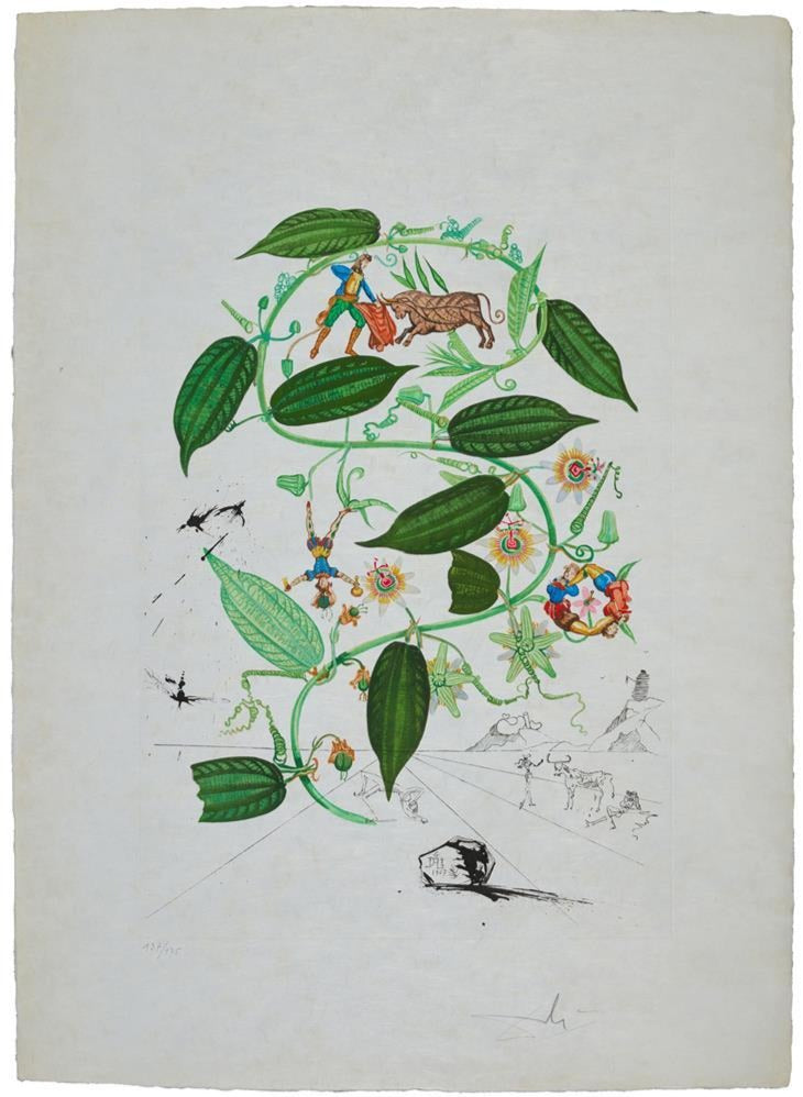 Salvador Dali Passiflora laurigera from Flora Dalinae (Field 68-3 H) 1968