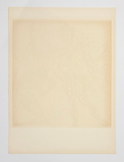 Salvador Dali Philip (Knighting of Sir Galahad) (Field 72-14K) 1972