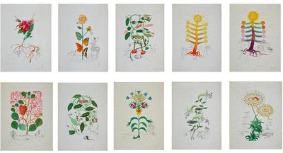 Salvador Dali Pisum sensuale from Flora Dalinae (Field 68-3 I) 1968
