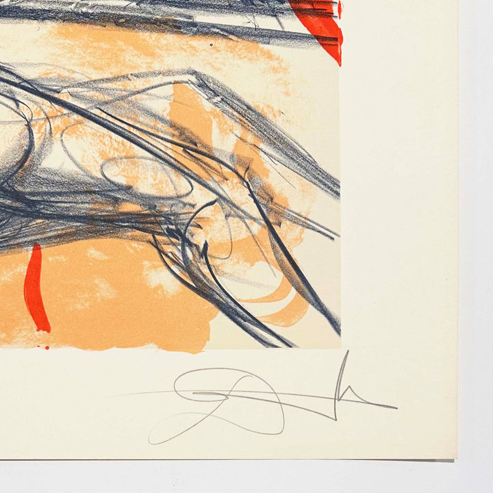 Salvador Dali Sports (Field 73-2B) 1973 – Georgetown Frame Shoppe