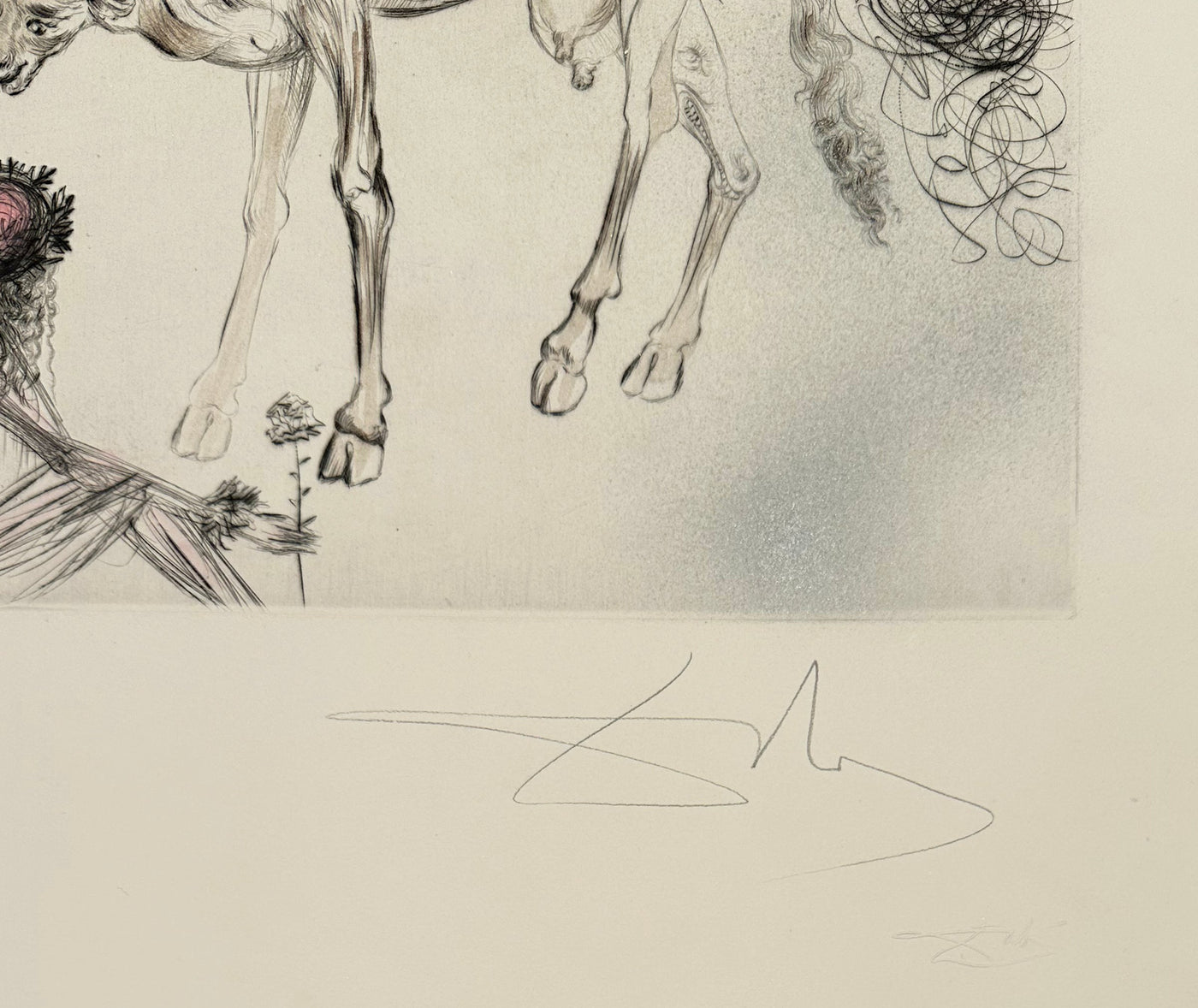 Salvador Dali The sacred cow (Field 69-13I) 1969