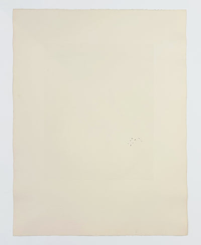 Salvador Dali The sacred cow (Field 69-13I) 1969