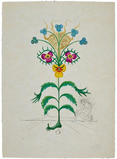 Salvador Dali Viola cogitans from Flora Dalinae (Field 68-3 C) 1968