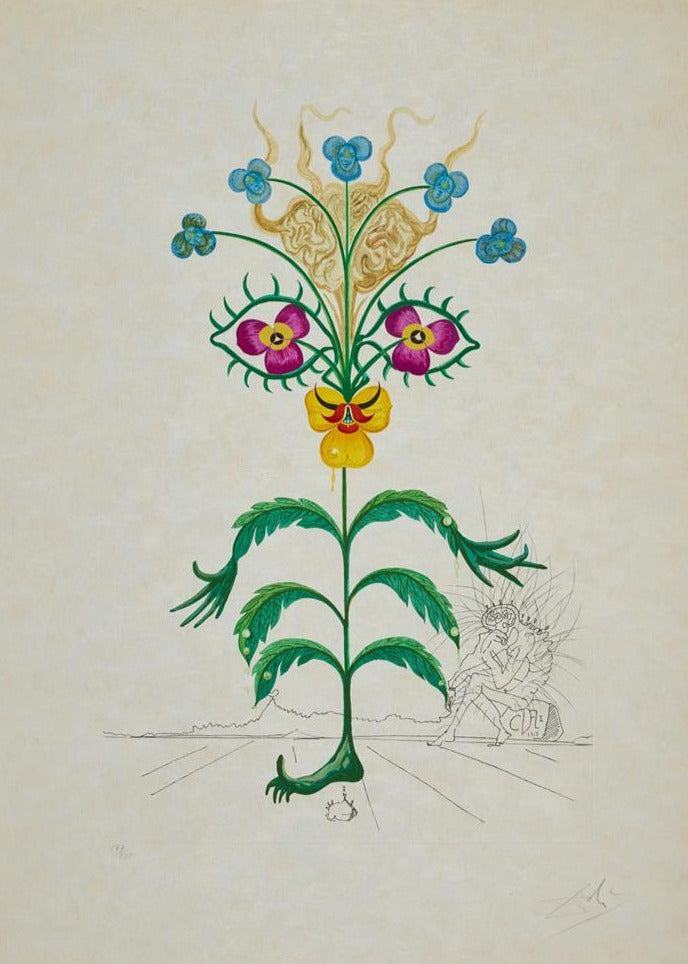 Salvador Dali Viola cogitans from Flora Dalinae (Field 68-3 C) 1968
