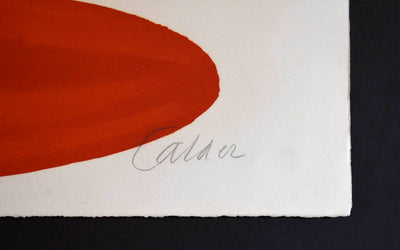 Alexander Calder Our Unfinished Revolution White Cicles And Elipses 1976
