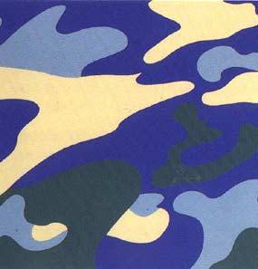 Andy Warhol Camouflage (Feldman II.411) 1987