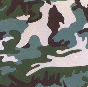 Andy Warhol Camouflage (Feldman II.406) 1987