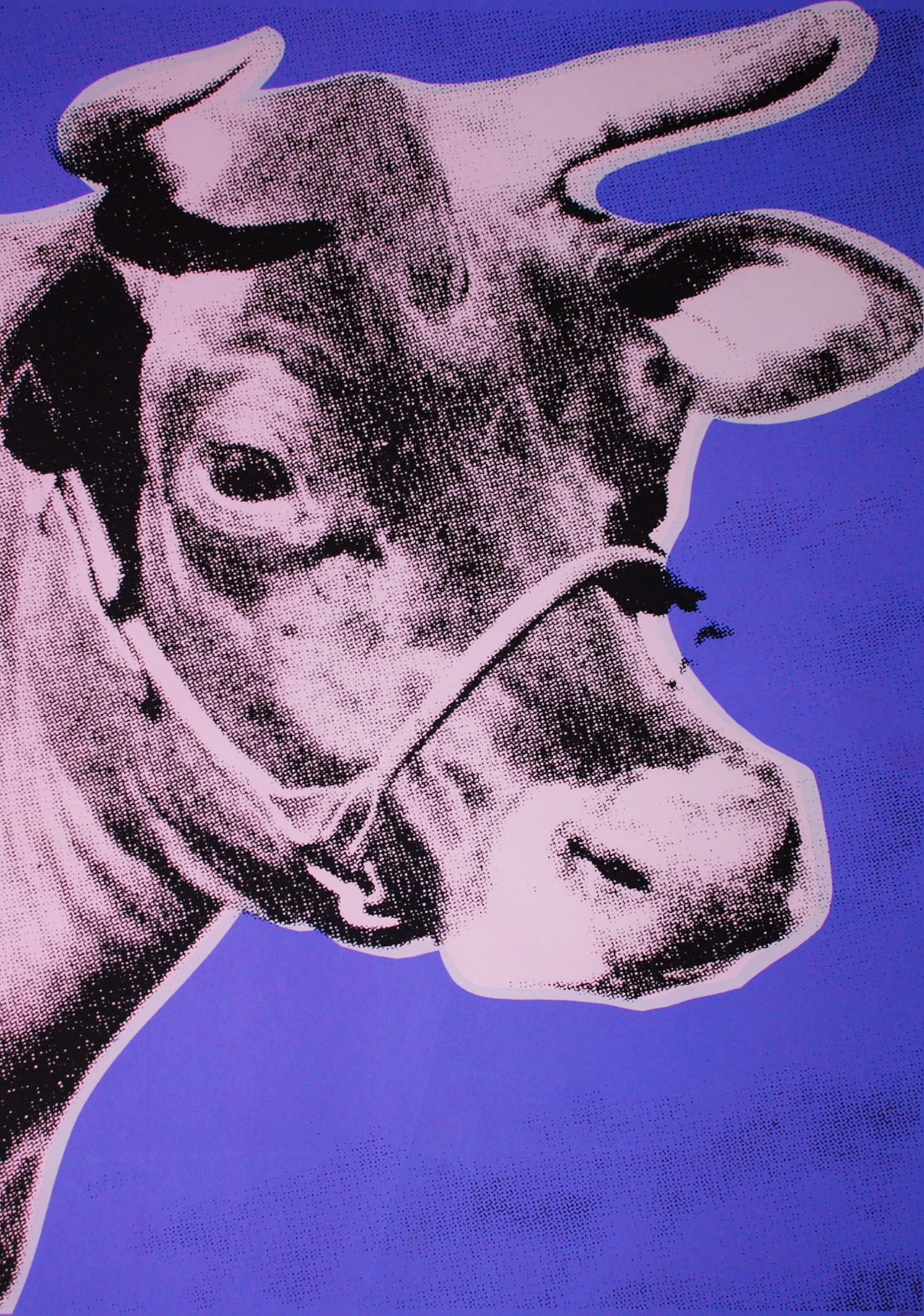 Andy Warhol Cow (Feldman II.12A) 1976 – Georgetown Frame Shoppe