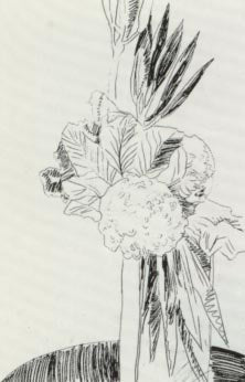 Andy Warhol Flowers (Black and White) (Feldman II.100) 1974