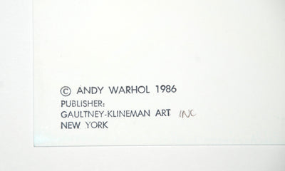 Andy Warhol Teddy Roosevelt (Feldman II.386) 1986