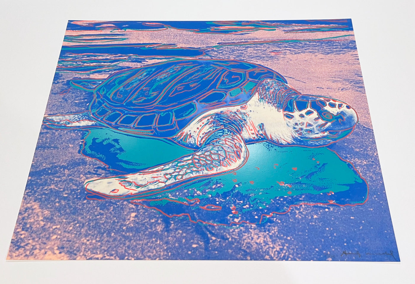 Andy Warhol Turtle (Feldman II.360A) 1985