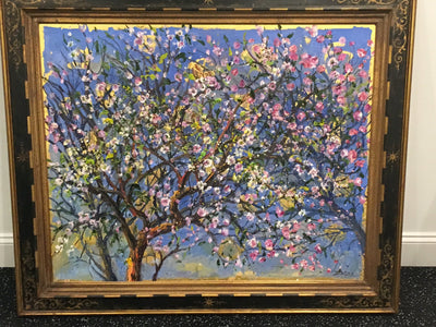 Bruno Zupan Looking Up Through Almond Blossoms