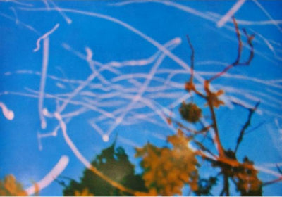 Gerhard Richter Sparks (Funken) (Butin 32) 1970