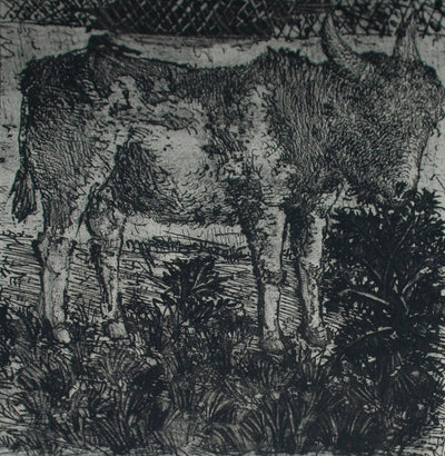 Pablo Picasso L'Ane (The Donkey) (Bloch 329, Cramer No. 37) 1942